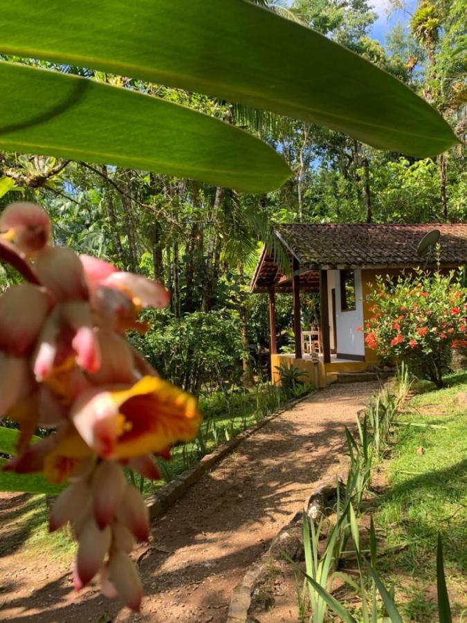 Pousada Bromelias Parati Extérieur photo